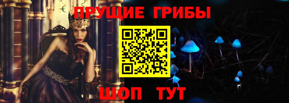 Галлюциногенные грибы Psilocybine cubensis Советск